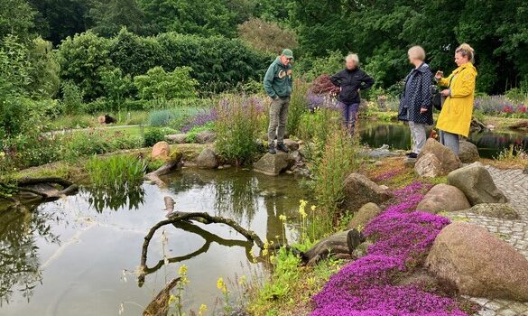 Gartenradio im Preetzer Kundengarten