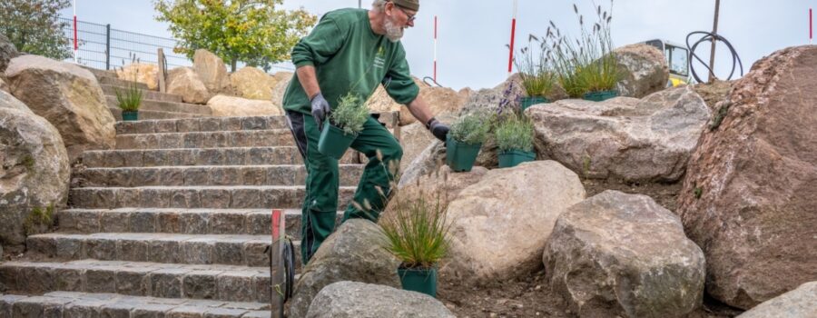 Dirk Christian Schröder beim Ausstellen der ersten Pflanzem im neuen Schaugarten in Selent.